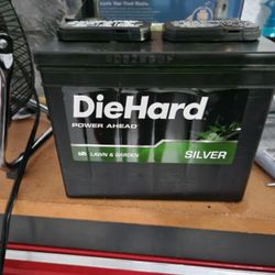 Lawn Mower Battery