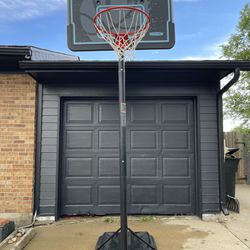Lifetime 10ft Basketball Hoop