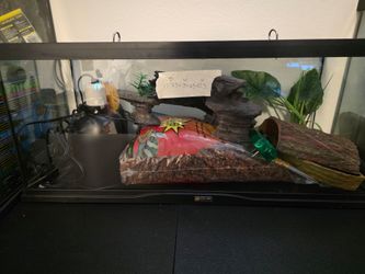 Terrarium 11.5" x 30.25" x 13.5"