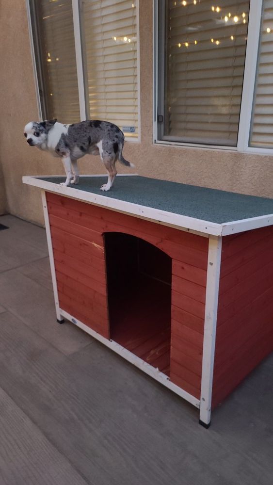 WOODEN DOG HOUSE FOR SALE