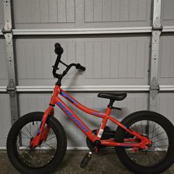 Kids Schwinn Bike