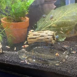 Fish Tank Decorations 