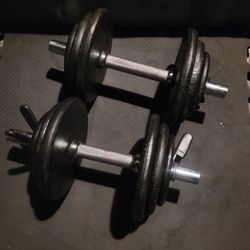 30lbs Dumbells Weights