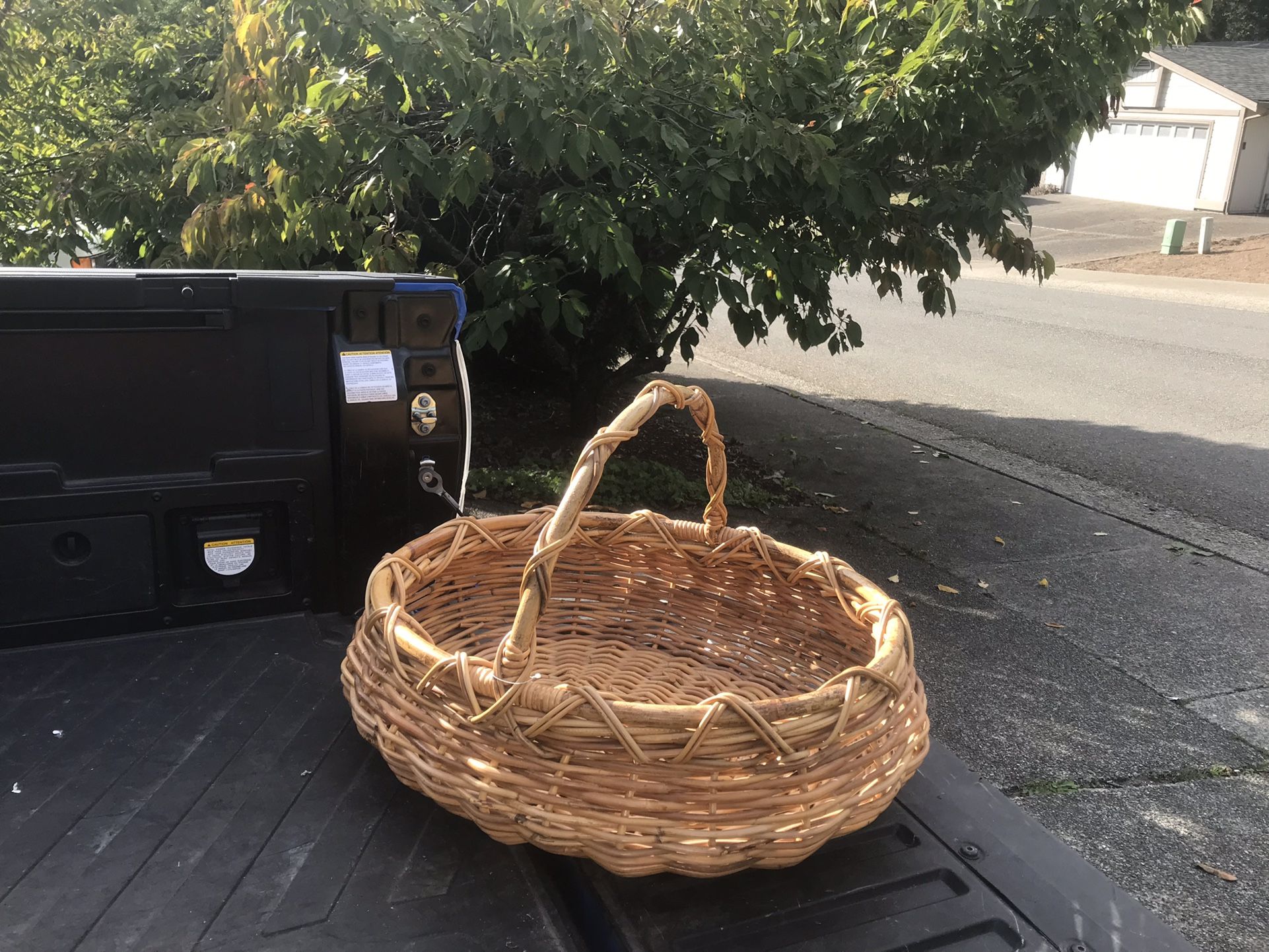 New Born Baby Portable Crib Basket or Small Pet Dog Cat Bed Wicker Basket or Gift Basket like New