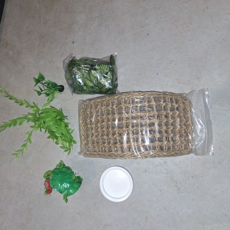 Lizard Hammock, Drinking Bowl, And Accessories