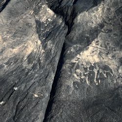 Approximately 10’ X46’ Net Tarp