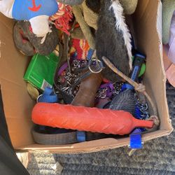 Dog toys, leashes, collars, pets cats