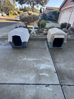 Both XL dog houses for $50 will sell separately