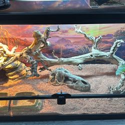 Bearded Dragon Cage And Accessories Feeding Tongs Cricket Dusters Etc.
