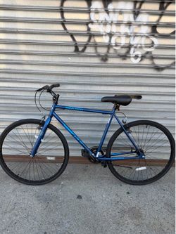 Fixie bike