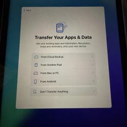 ipad 10.2 (unlocked)