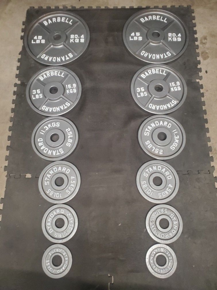 Complete Olympic Weight Set(2x45lbs 2x35lbs 2x25lbs 2x10lbs 2x5lbs 2x2½) Thats 245lbs All Together