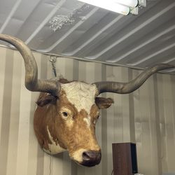 Ranch cowboy decor.