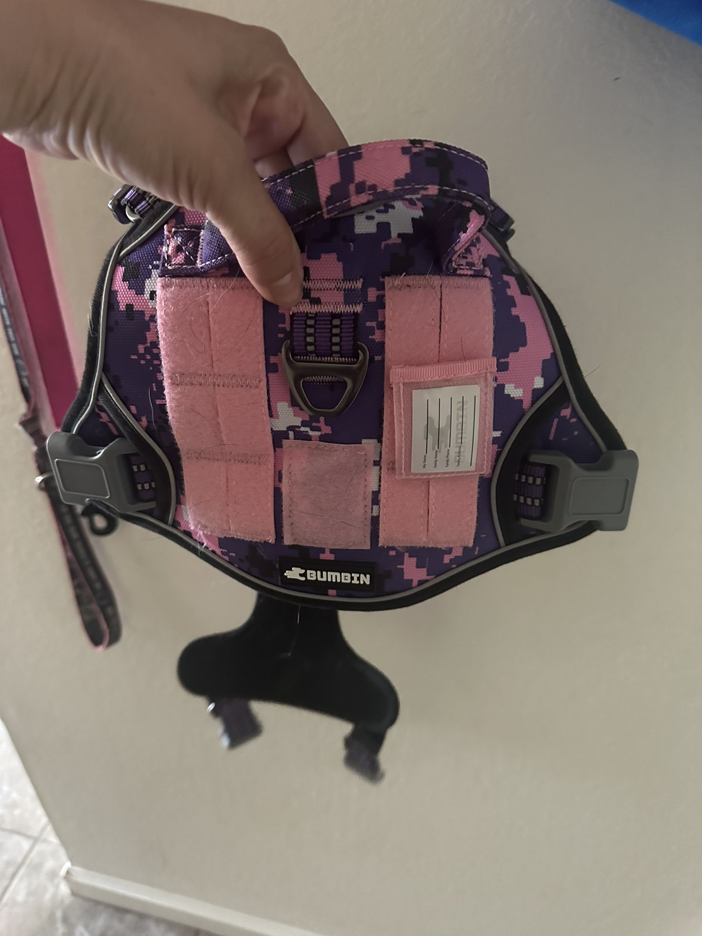 Dog Harness