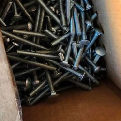 Screws 