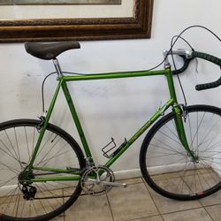 SIMONCINI SPECIAL PROFESSIONAL Bike 