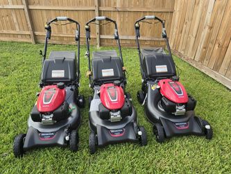 Honda Hrn216 Celf Propelled $490 Each One Firm Price/NUEVA $490 Cada Una  Precio Firme 