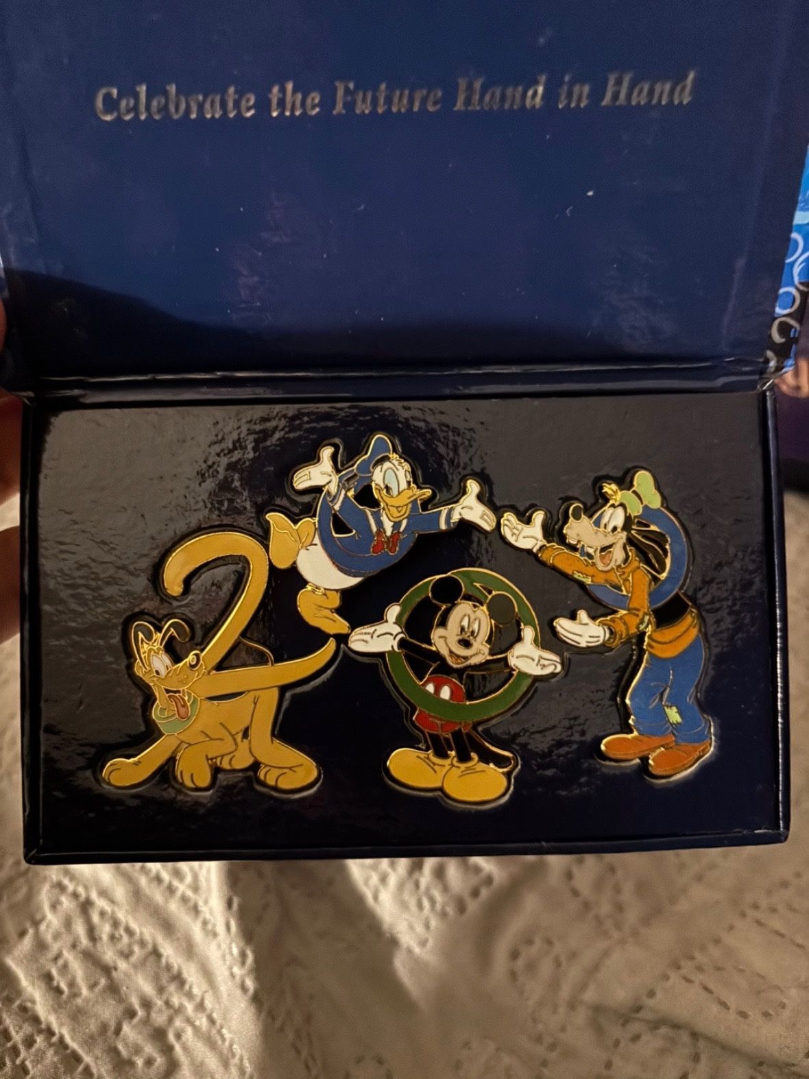 Disney Pins Box Sets