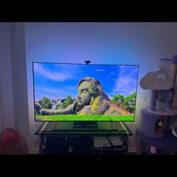 S90D OLED 65 “