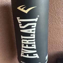 Everlast Bag  and boxing gloves