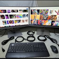 Dual 22” HP Monitors +Keyboard +Mouse+Cables