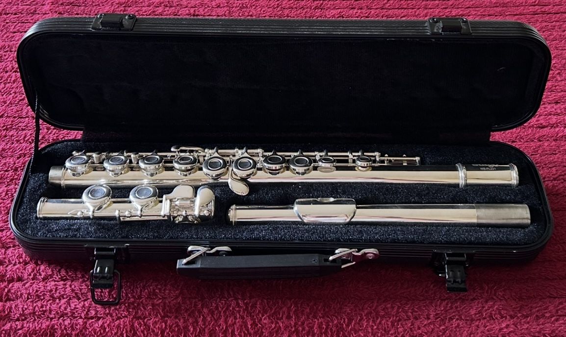 Stagg WS- FL231 silver plated flute with carry case in excellent condition. $85