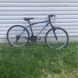 Roadmaster Mountain Bike