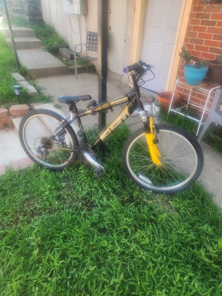 Schwinn Bike