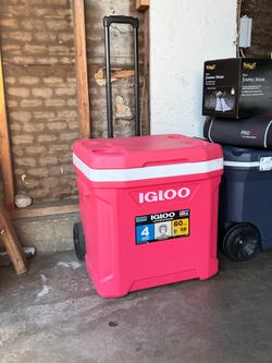 Igloo Cooler
