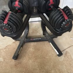 Bowflex SelectTech 552 Adjustable Dumbbell Set And Stand