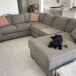 Grey Couch 