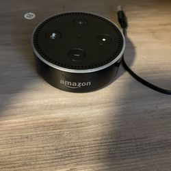 Echo Dot