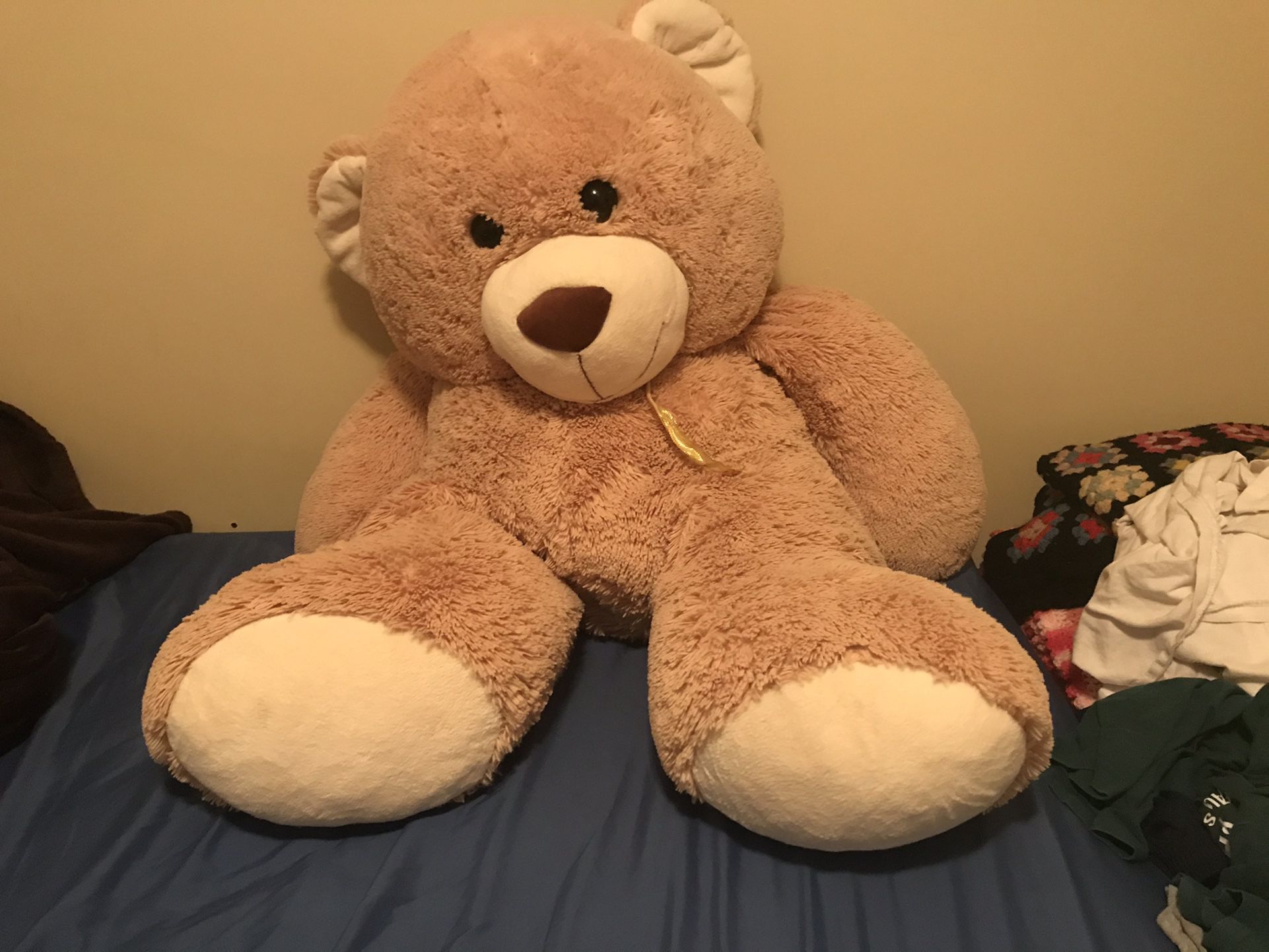 Big Teddy Bear 
