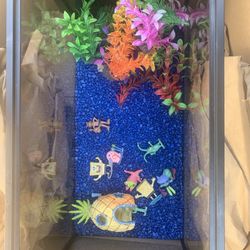 Fish Tank