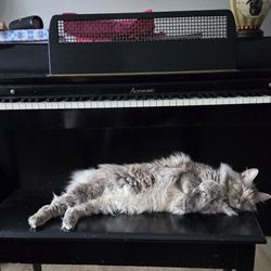 Acrosonic Spinet Piano