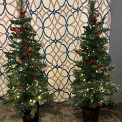 Christmas Trees