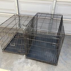 Dog kennel 