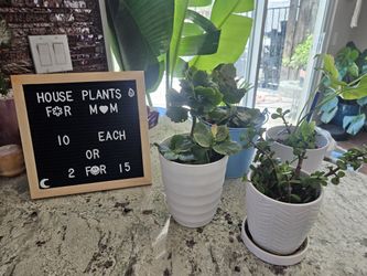 Mother's Day Plant Sale 