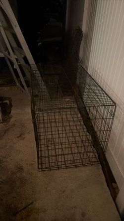 Xl dog kennels