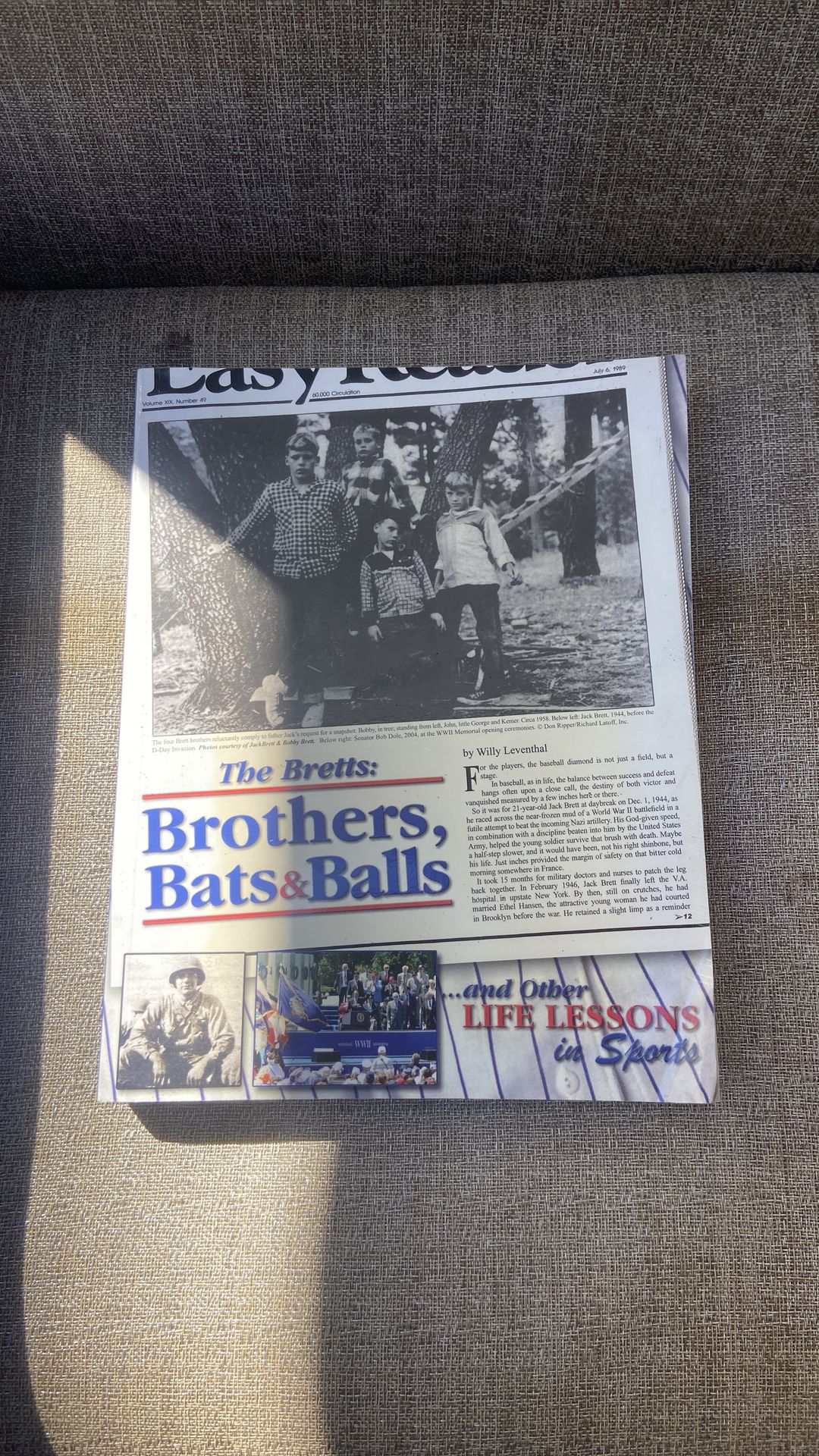 The bretts brothers, bats, and balls book