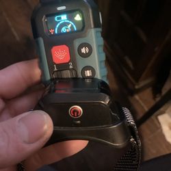 Dog Shock/spray Coller