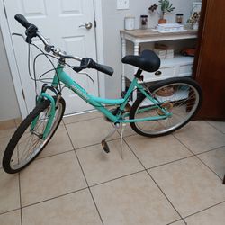 Beautiful Woman Bike 26" Wheel