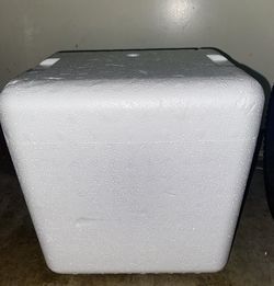 Foam Cooler With 2 Freezer Gel Packs