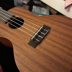 cordoba ukulele  