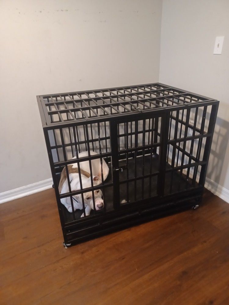 Heavy Duty Dog Cage 48/43/38