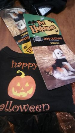 Halloween Dog Costume