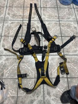 Harness