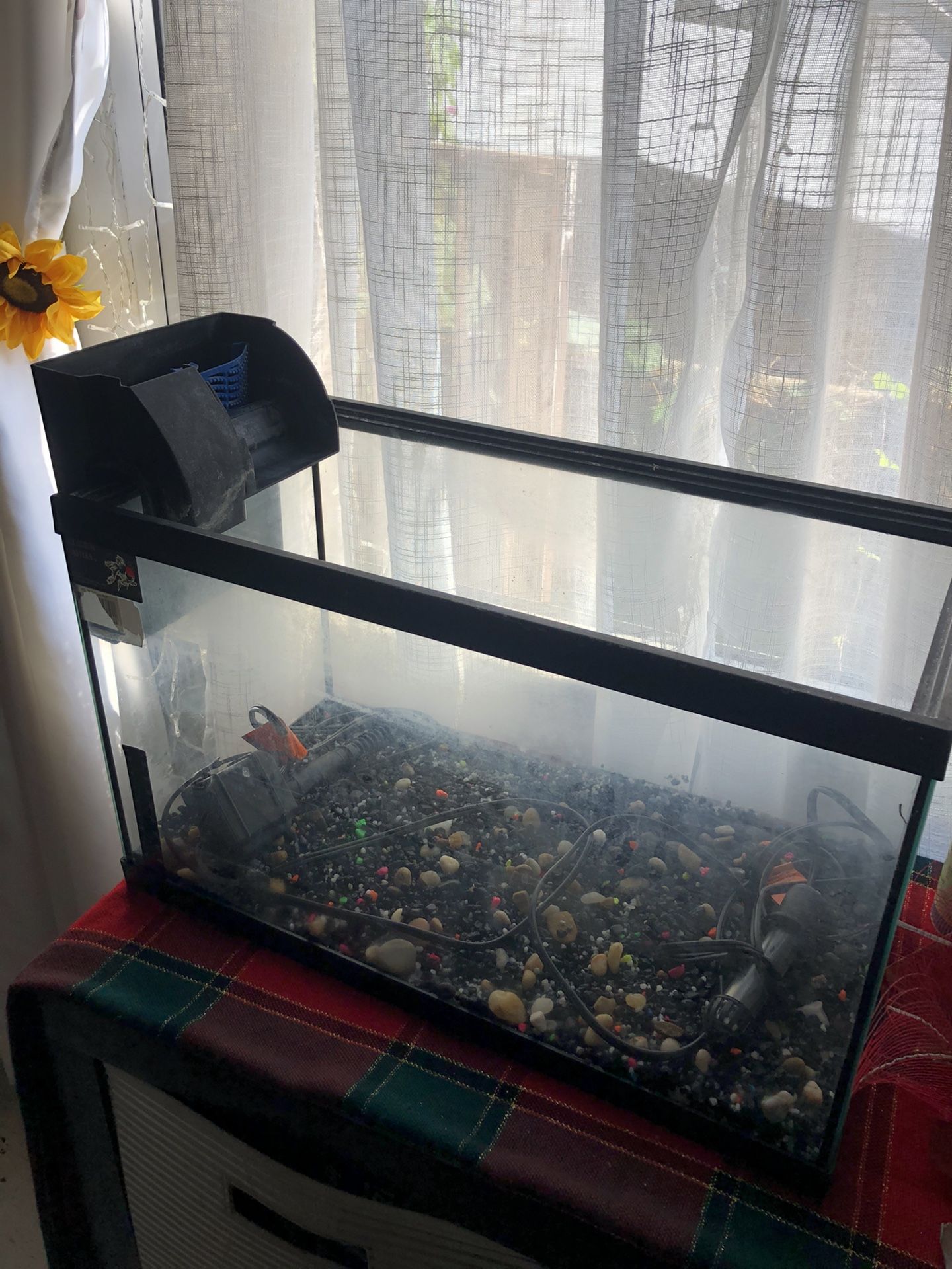 10 gallon fish tank with filter and heater