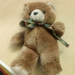 Teddy Bear New
