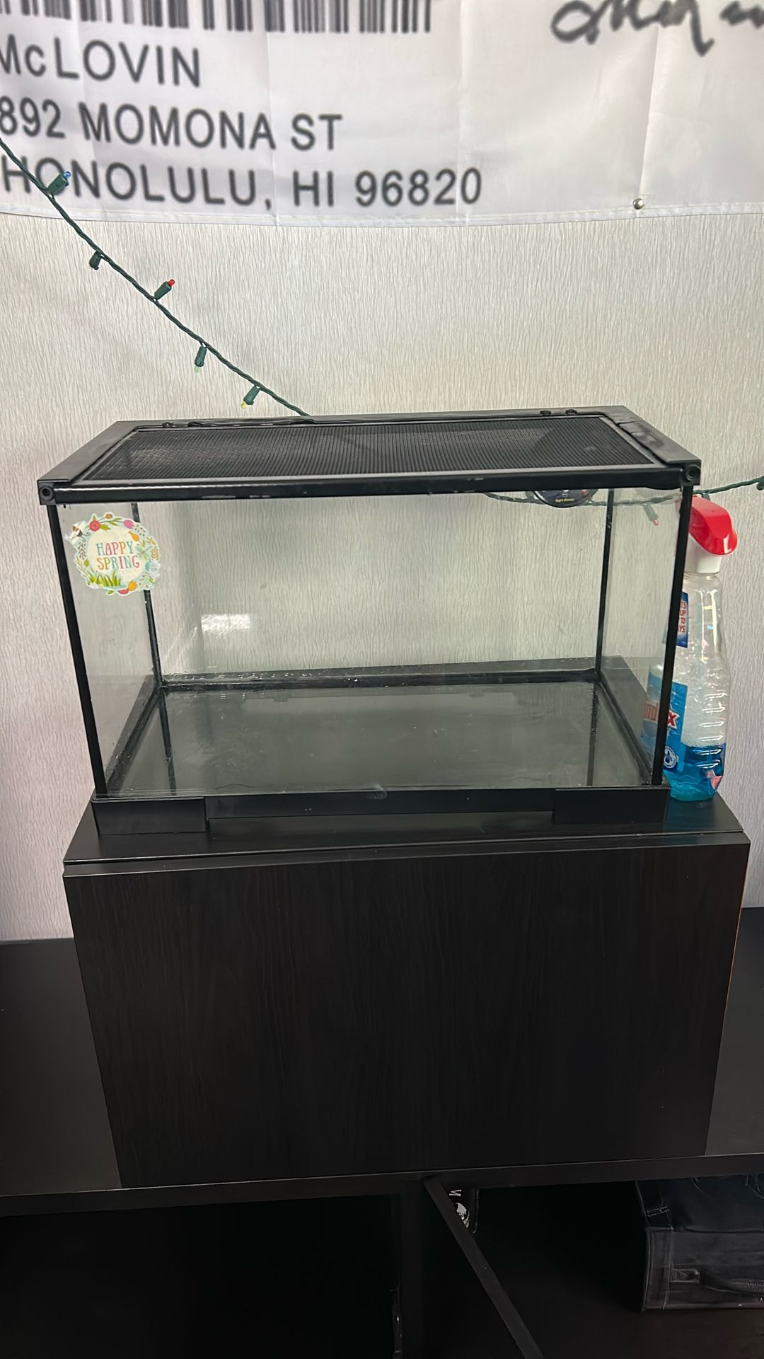 10 Gallon Reptile Tank